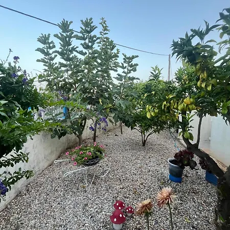 Vivenda Soares בית הארחה *