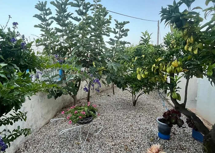 Vivenda Soares 招待所 *